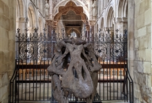 T.rex: The Killer Question exhibition at Peterborough Cathedral. Photo © Terry Harris